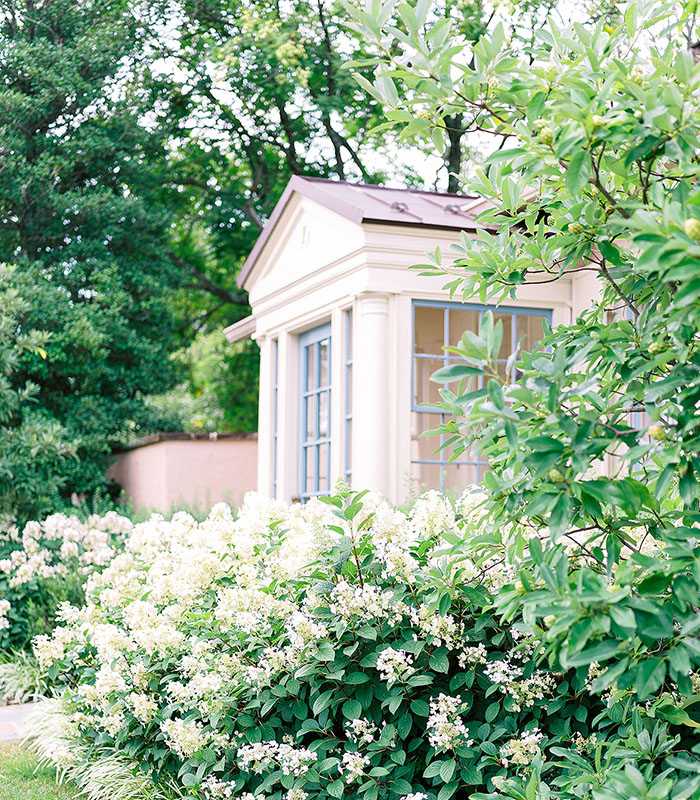 Charming garden view with a small house surrounded by white flowers and green foliage