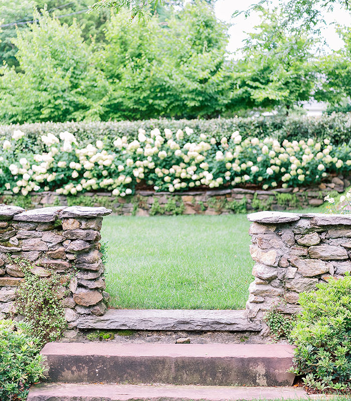 Stone path leading to a lush green garden with blooming white flowers