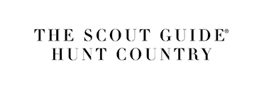 logo-sguide_2