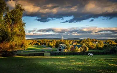 southern-living-fall-g Fall landscape in Middleburg